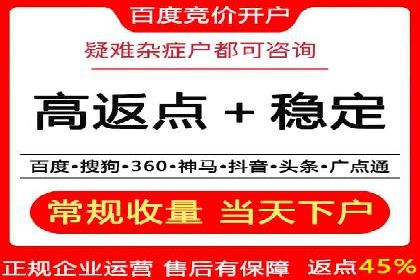 某某SEM服务公司成功案例：从数据出发的营销策略